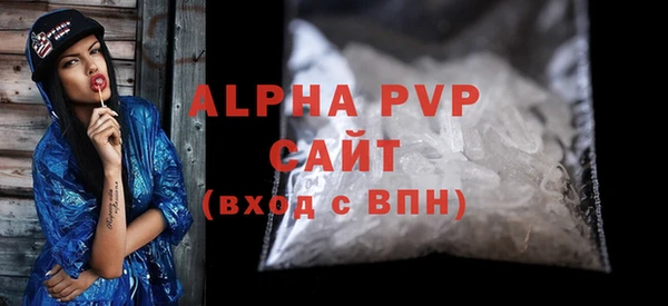 хмурый Няндома