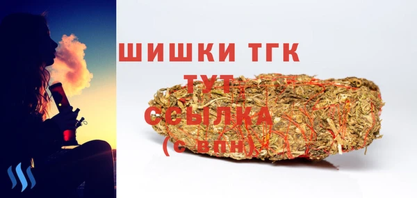 дживик Нязепетровск