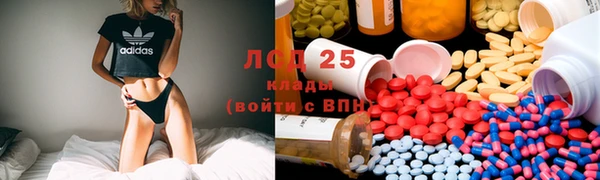 тгк Новозыбков