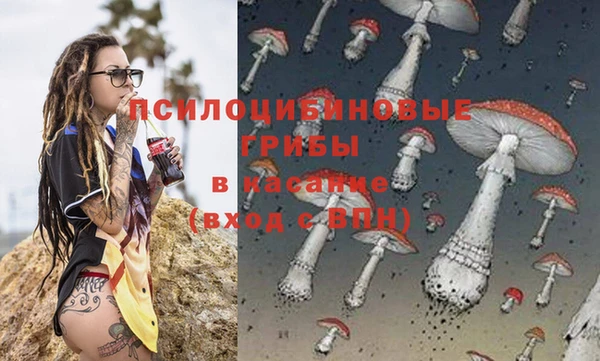 дживик Нязепетровск