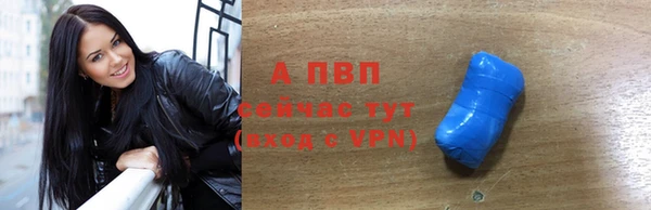 хмурый Няндома