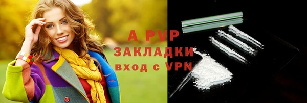 хмурый Няндома