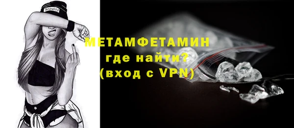 хмурый Няндома