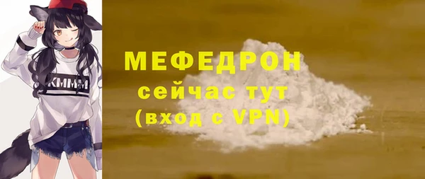 хмурый Няндома