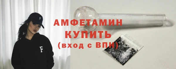 хмурый Няндома