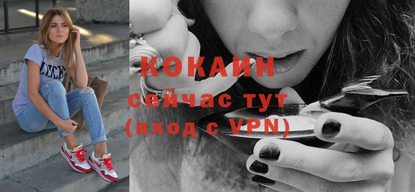 дживик Нязепетровск