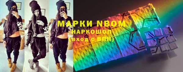 хмурый Няндома