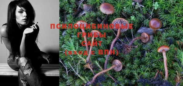 прущая мука Нягань