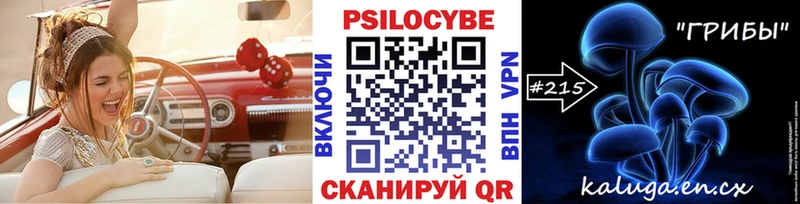 Псилоцибиновые грибы Cubensis  Яхрома 
